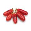 1 шт. в партии, подвеска из натурального красного коралла, длинная полоска, подвески для изготовления ювелирных изделий, аксессуары для ожерелья «сделай сам», 10 × 25 мм