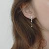 925 Sterling Silver Korean Water Drop Tassel Zircon Earrings Women Exquisite Personality Anniversary Jewelry