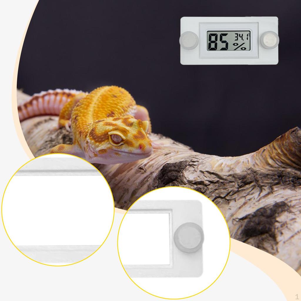 Holder for Reptile Terrarium, Amphibian Enclosures, , Compact Accessory, 7.6 X 5.1 Cm