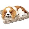 TATOTTE Stuffed Dog, Realistic Figurine, Cute Sleeping Dog, Activated Charcoal Included, Soothing Interior (Cavalier)
