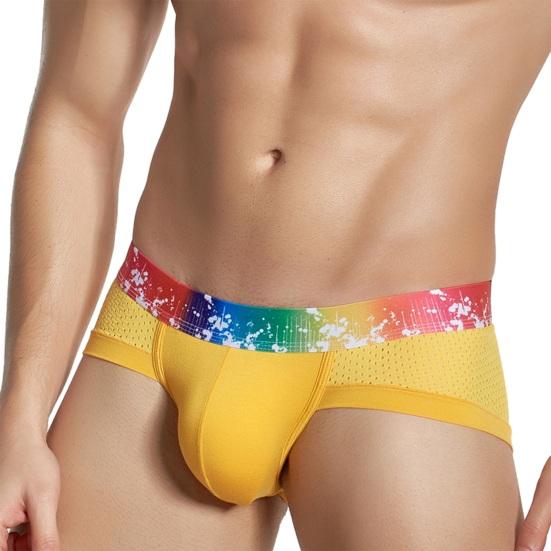 Men Briefs Soft Breathable Mesh 3D Pouch Elastic Fabric Panties Rainbow Waistband U-Convex Sport Underwear Daily