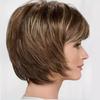 Wig Women's Short Hair Brown Mixed Color Layered Short Straight Synthetic Headband
