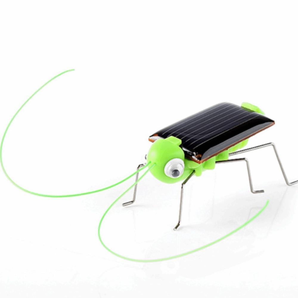 Cockroach Simulation Insect Toy Grasshopper Science Education Toy Funny Puzzle Toy  Children
