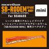 Запасной корпус Rodem Mini для удилища More Than Seabass, 2,7 дюйма
