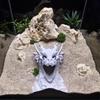 Декорация для аквариума, аквариумный, подземный туннель, пещера, 3D-печать, укрытие, домики, место для размножения, укрытие, украшения