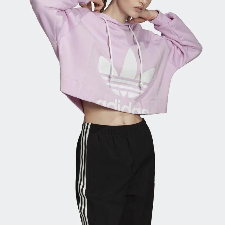 Adidas Originals Sweatshirts Women's Light Purple Hooded Moderate Straight Fit (Unisex) Sweatshirts FM1745