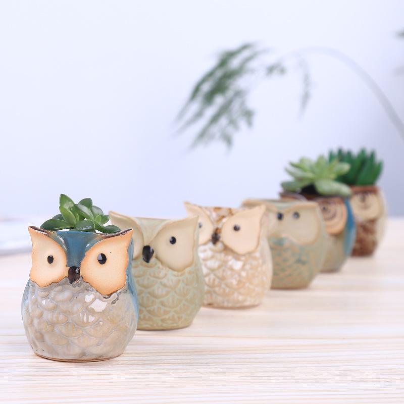 1pcs Personality Succulents Flower Pot Owl Animal Small Flower Pot Creative Cute Thumb Pot Ceramic Hole