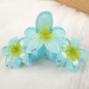Gradient Design Hair Clip Claws Plumeria Shark Hair Claw Colorful Gradient Flower Clips  Girls Gift