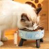 Нескользящая миска для домашних животных из нержавеющей стали - Приподнятая, непроливающаяся конструкция для маленьких собак и кошек с милым узором