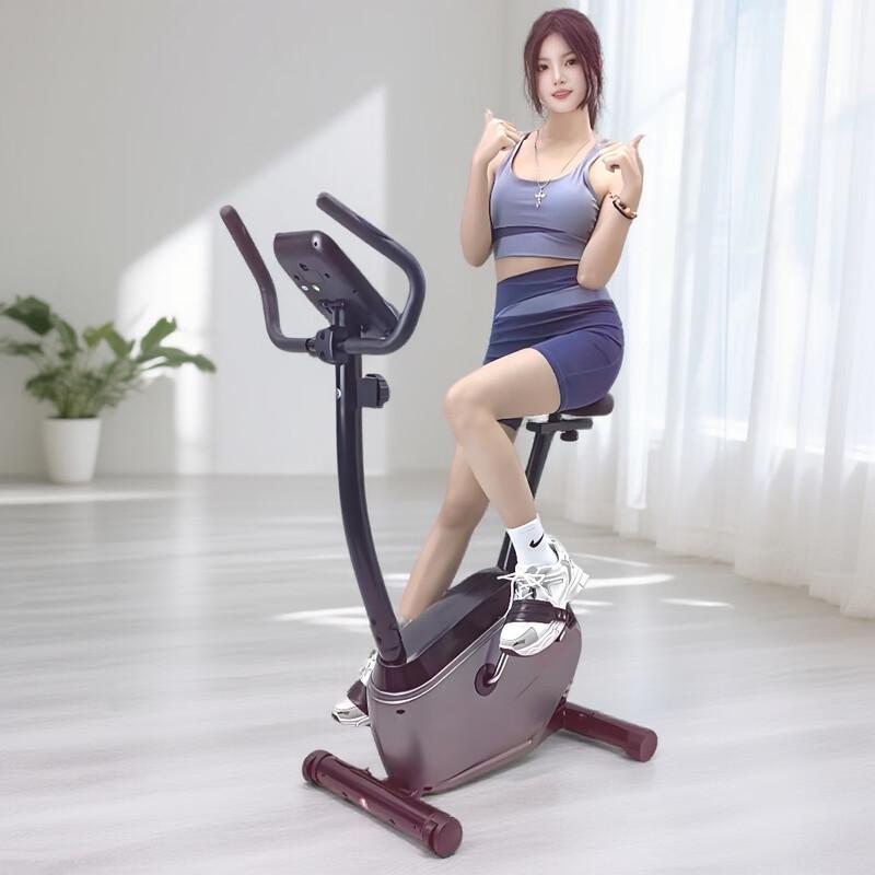Kuai Kang Home Exercise Spin Bike CN plug (adapter included)