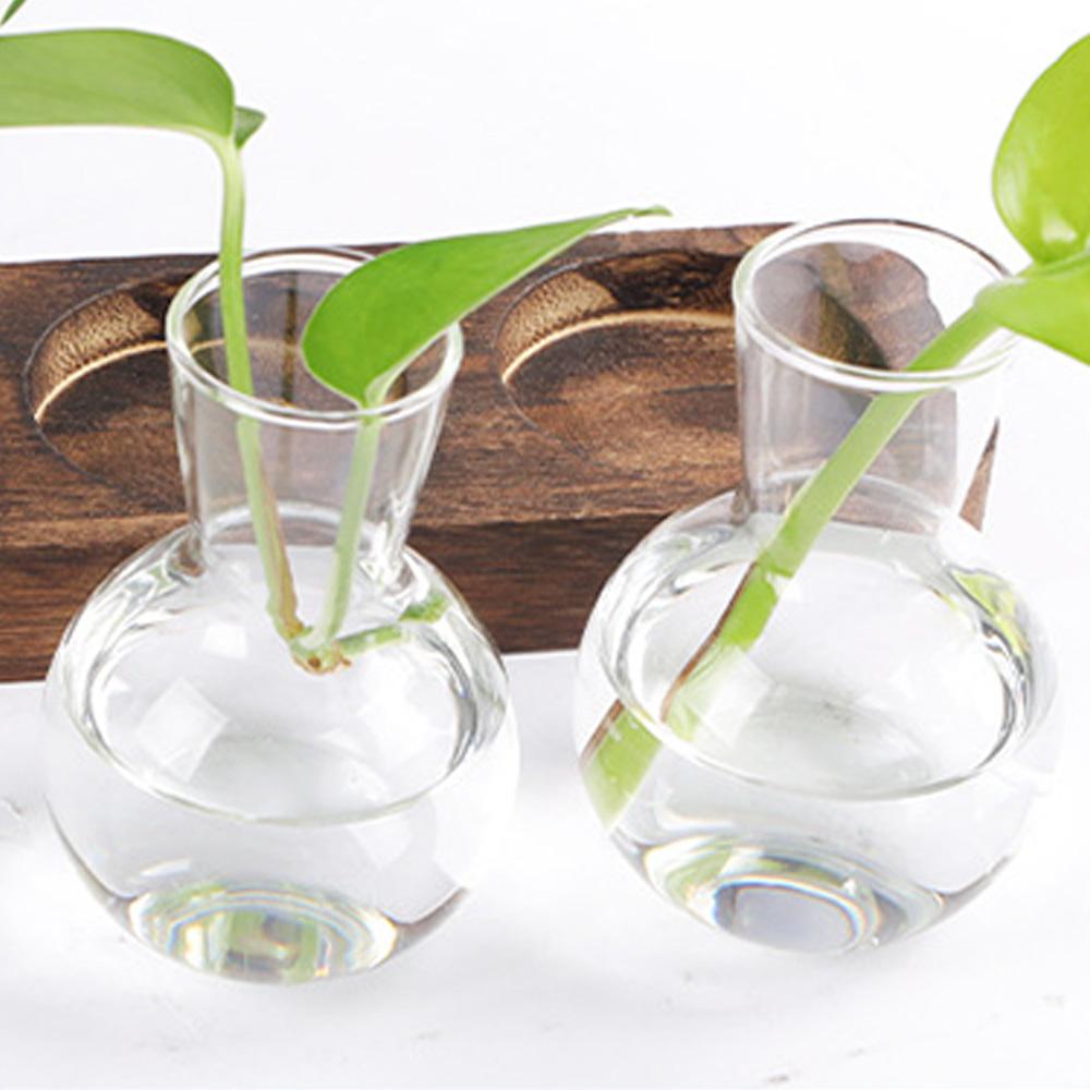 Гидропонные растения Контейнер для растений Стеклянные пробирки Террариумы Ваза на деревянной подставке Цветочные горшки Гидропонные растения Ваза для пробирок