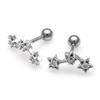 Tep-223 Titanium Piercing Earrings