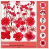 Handmade Resin Pressed Flower Bookmark DIY Kit: Transparent Specimen Stickers & Dried Flowers for Students