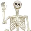Halloween Skeleton Statue Skeleton Man Walking Dog Resin Ornament Spooky Human Skeleton Figurine for Home Yard Indoor Decoration