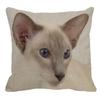 Thailand Cat Theme Pattern Double-Sided Printed Pillow Cover Short Plush Suitable Living Rooms Bedrooms Sofa Throw Cushion Cover