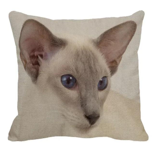 Thailand Cat Theme Pattern Double-Sided Printed Pillow Cover Short Plush Suitable Living Rooms Bedrooms Sofa Throw Cushion Cover
