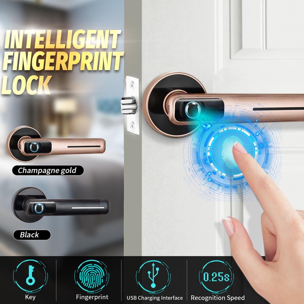 Двухрежимный USB перезаряжаемый замок для двери с отпечатком пальца, безопасность, биометрическая ручка, электронный умный замок для квартиры НОВЫЙ