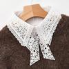 New Hollow Lace Embroidery Fake Collar For Women White Black False Detachable Collar Lapel Shirt Tie Necklace Clothes Accessory