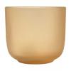 Seasons Borosilicate Glass 200ml Cup (Pack of 2)