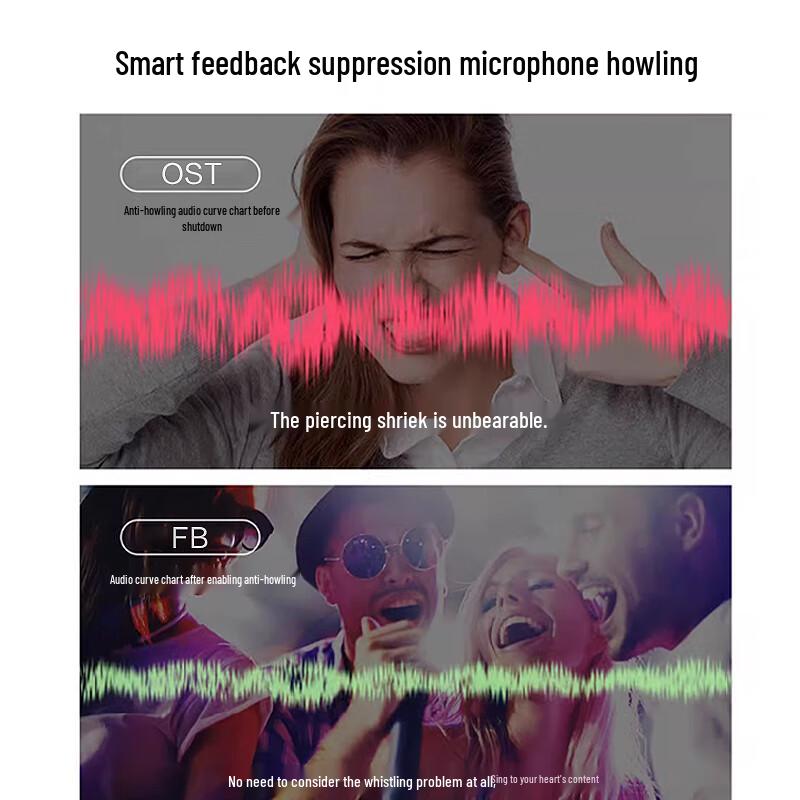 HuiDu Professional Microphone Audio Processor (CN version)