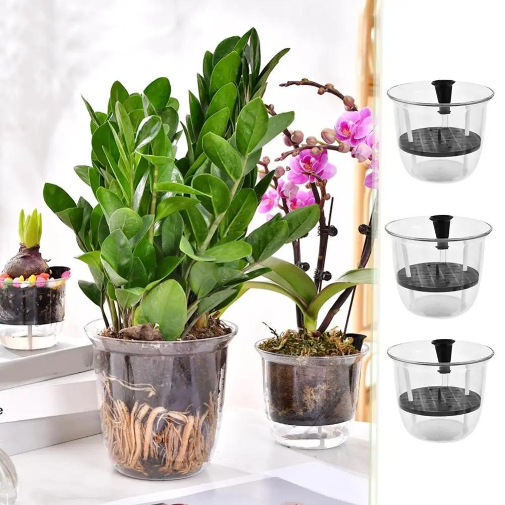 1pcs Transparent Self Watering Plant Pot Self Watering Planter Pot Flowerpot  Indoor Plants