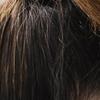 3 шт. Цветочные Листья Полный Алмазный Рисунок Зажим для Волос DIY Заколки Шпилька Широко Используется в Аксессуарах для Уличной Фотосъемки