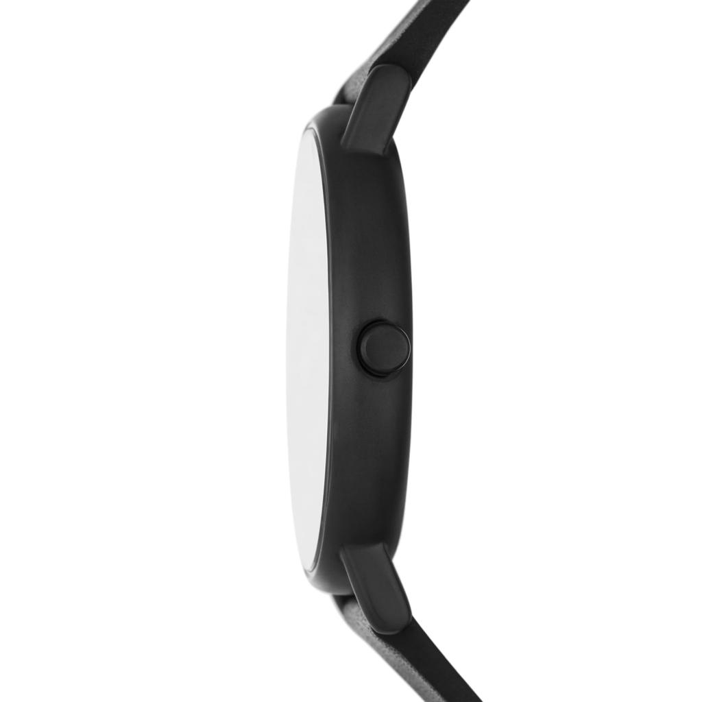 Skagen Signatur SKW6902 Wristwatch