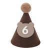 Brown Coffee Bear Baby Birthday Hat Shower Party Decoration Pom Pom Peaked Cap Adjustable Size for 1st 2nd 3rd Years Old