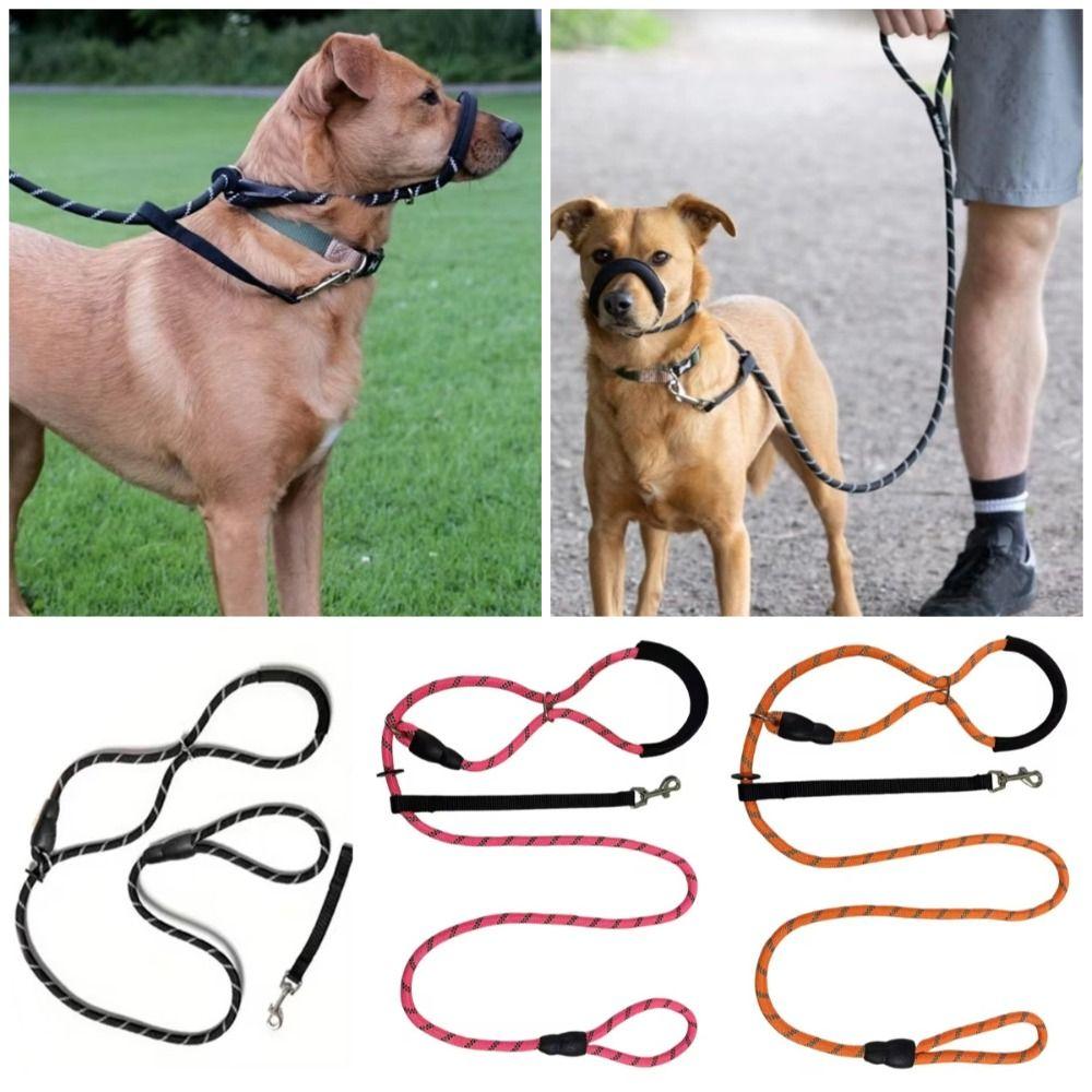 2in1 Dog Leash with Anti-Bite Muzzle Adjustable Anti-Pull Dog Leash Pet Supplies