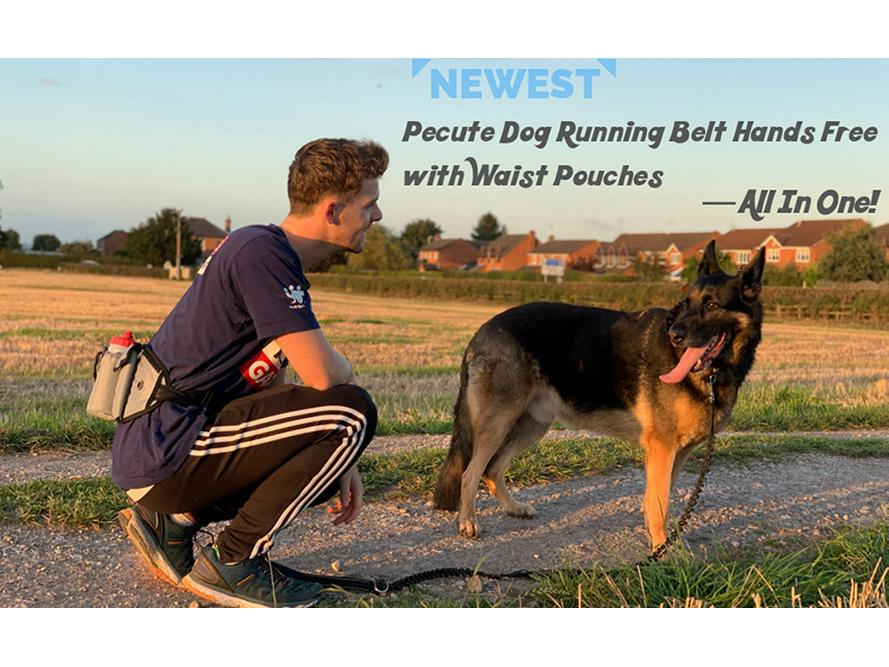 Multifunctional Sports Waist Bag for Running, Fitness, Dog Walking, and Outdoor Activities