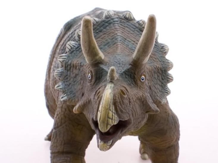 Dinosaur Triceratops Vinyl Model Premium Edition (FD-352)