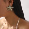 Европейский и американский летний стиль эмалевые серьги-звездочки ZA темперамент пляжный ветер ожерелье с подвеской-звездочкой женское