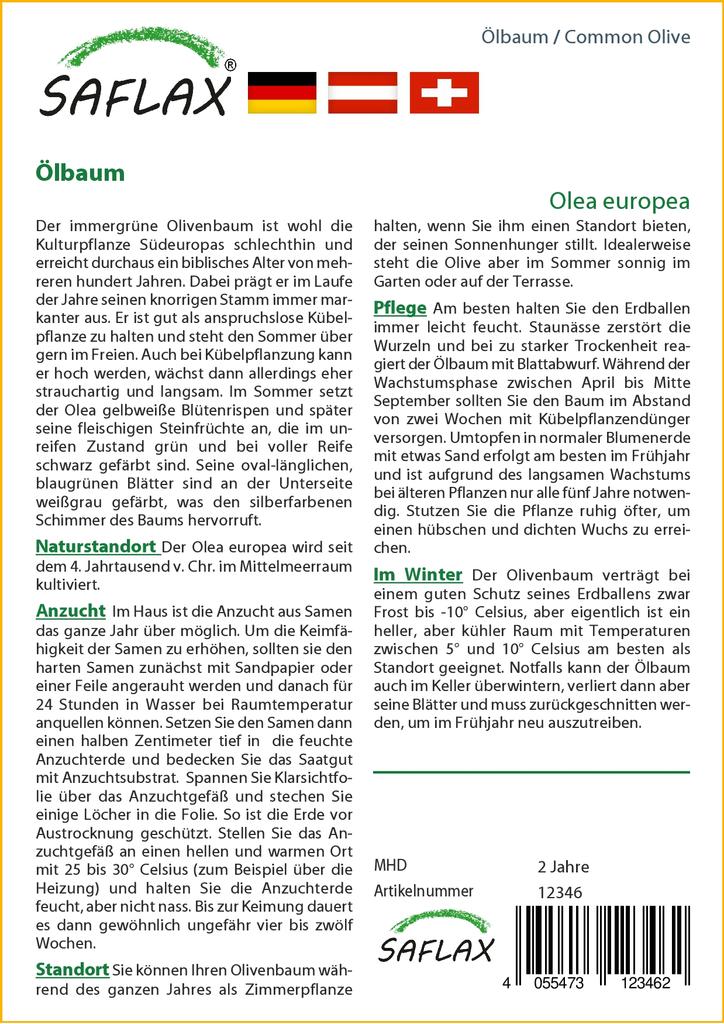 SAFLAX Олива обыкновенная - 20 семян - Olea europea