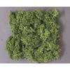 KATO Diorama Supplies, Natural Plants, Medium Green, 24-333, Model Railroad Supplies