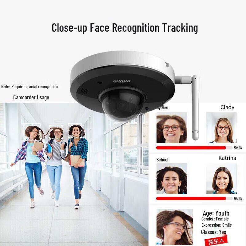 Dahua 4MP IR People Counting Dome Network Camera CN plug (adapter included)