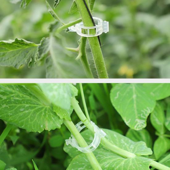 20Pcs Seedlings Fixing Clips Quick-open Plant Support Clips Clear Vine Fixing Buckles for Grafting Tying Vines And Hanging Plants Healthy Growth