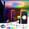 24 Вт Умный потолочный светильник Tuya Smart WiFi 220 В Цвета RGB Изменяемый умный светодиодный потолочный светильник WiFi Подключение
