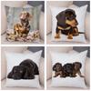 Mini Dachshund Cushion Cover Decor Pet Animal Pillowcase Sofa Home Children's Room Pillowcase