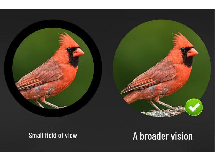 Thunder Dragon 25-75X100 HD Large Aperture High Magnification Outdoor Target Shooting & Bird Watching Scope