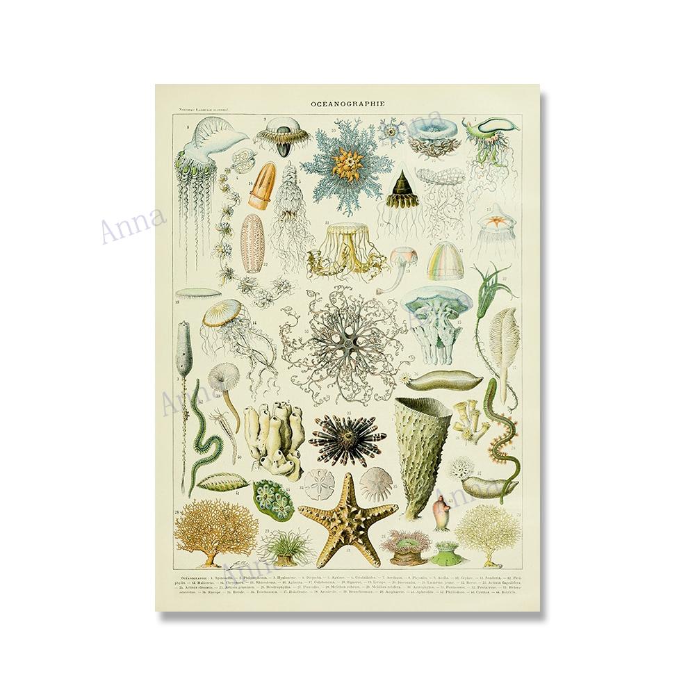 Adolphe Millot Encyclopedia Poster Fruit Botanical Mushrooms Herbs Flowers Canvas Paintings Print Vintage Wall Art Room Decor