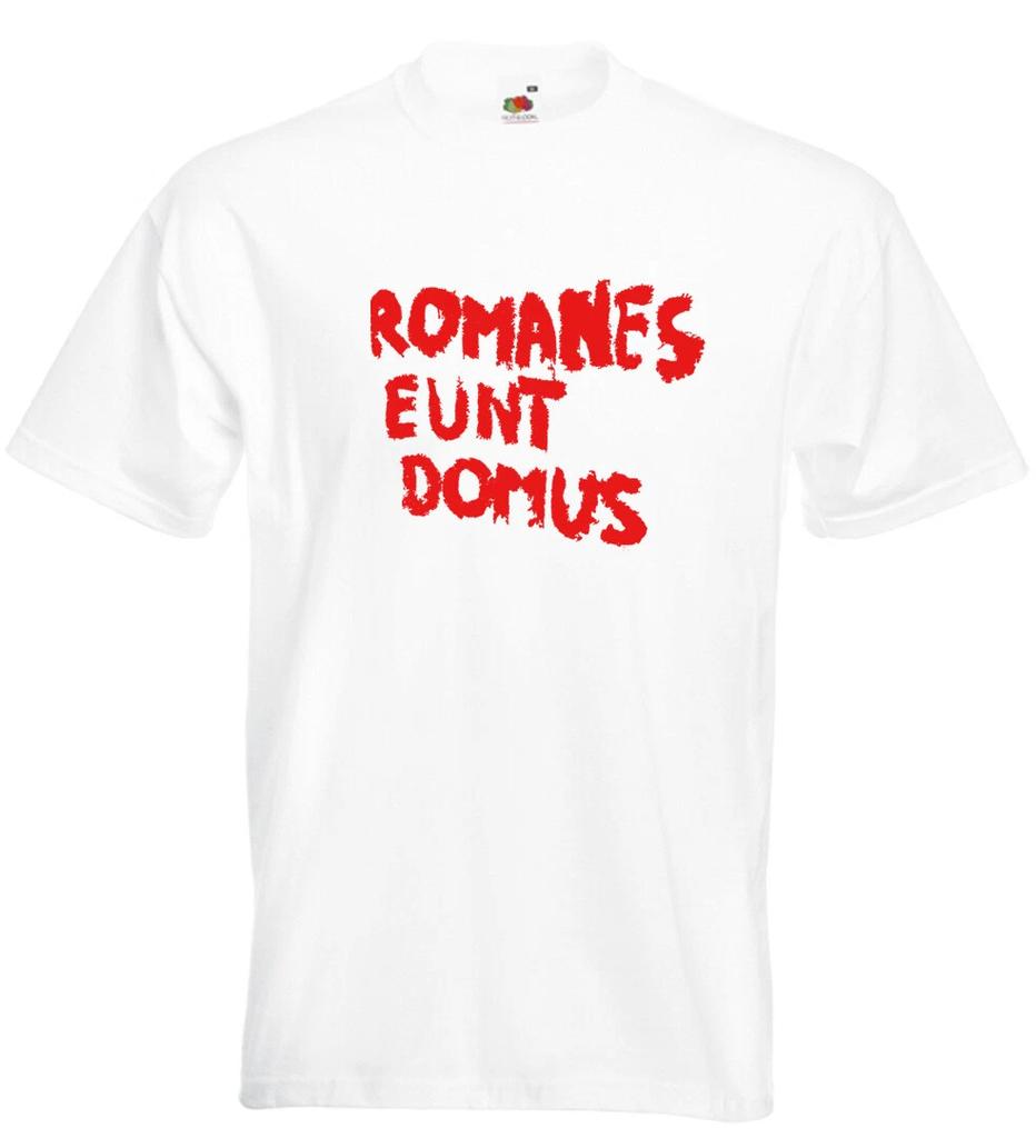 Футболка в стиле Монти Пайтона Romanes Eunt Domus Римляне Идите Домой