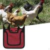 Adjustable Hen Apron for Poultry - Feathered Friend Essential