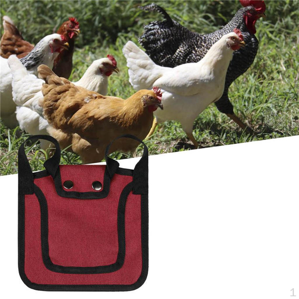 Adjustable Hen Apron for Poultry - Feathered Friend Essential