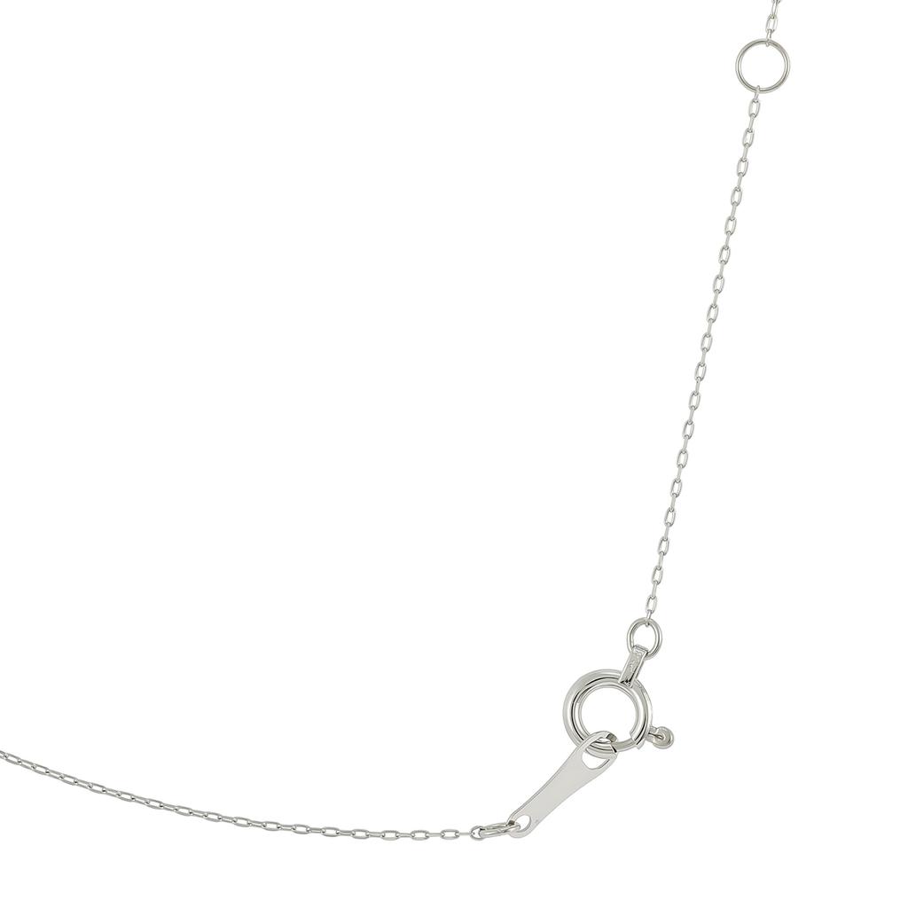 Платиновое бриллиантовое колье с камнем-талисманом и эксклюзивной коробкой [D Collection] (Бриллиант 0,1 карата/Гранат 0,1 карата, Январь) D80-8812GA