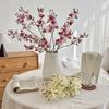 75CM Magnolia Artificial Flowers Multicolor Long Branch Flowers Elegant Fake Orchids  Home Display