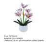 Artificial Plant Pot Orchid Flower Home Decor Plastic Wedding Parties Simulation Bonsai for Living Room