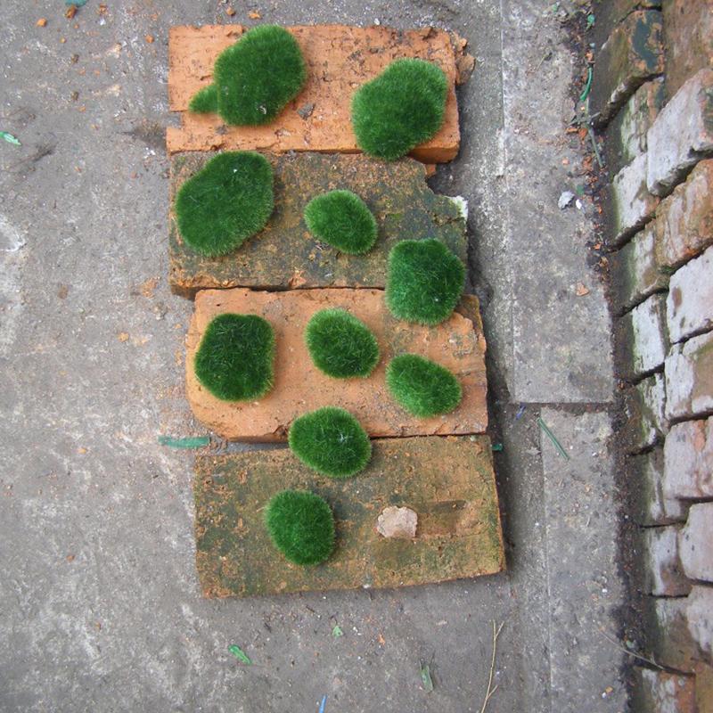 Natural Looking Green Moss Stones Pack of 8 for Landscape and Balcony Use