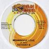 7-дюймовая пластинка ANTHONY B, FLOYD WEST - Meaningful Love / These Days NONE Down Sound Reco Ямайка Регги, Ска и Даб Б/У