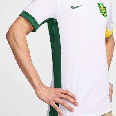 Nike Мужская футбольная майка Dri Fit