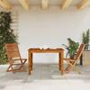 VidaXL Chaises pliantes de jardin lot de 2 bois d'acacia solide, chaise de jardin, siège d’extérieur, chaise d’extérieur, 367696